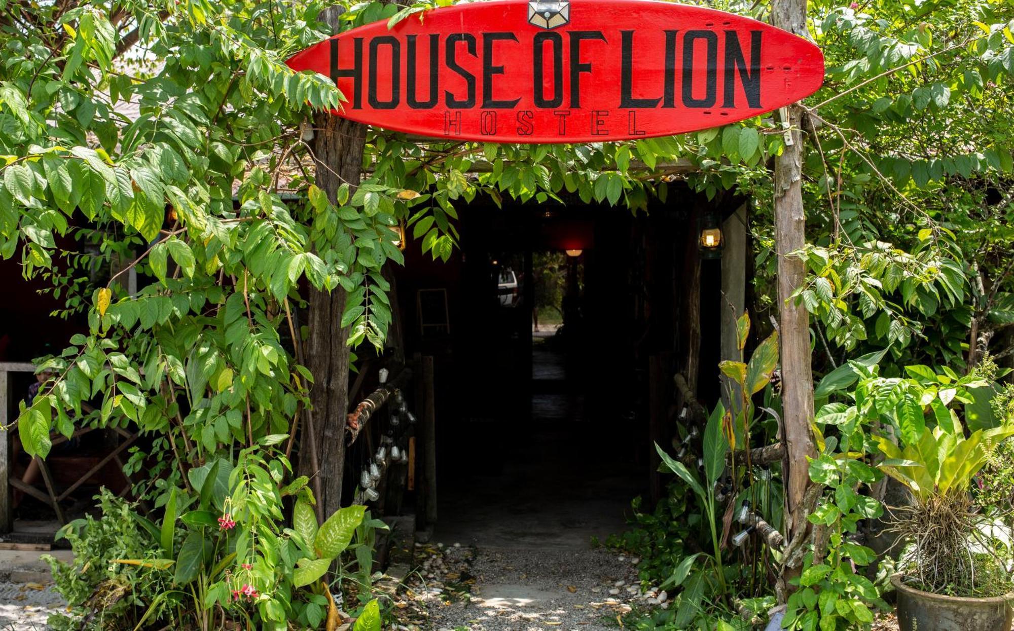 House Of Lion Hostel بانتايْ تْشينانغ المظهر الخارجي الصورة